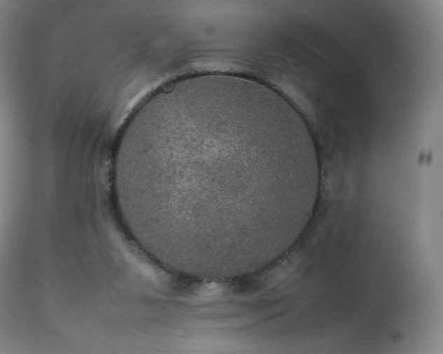 X0000111470111200907131527