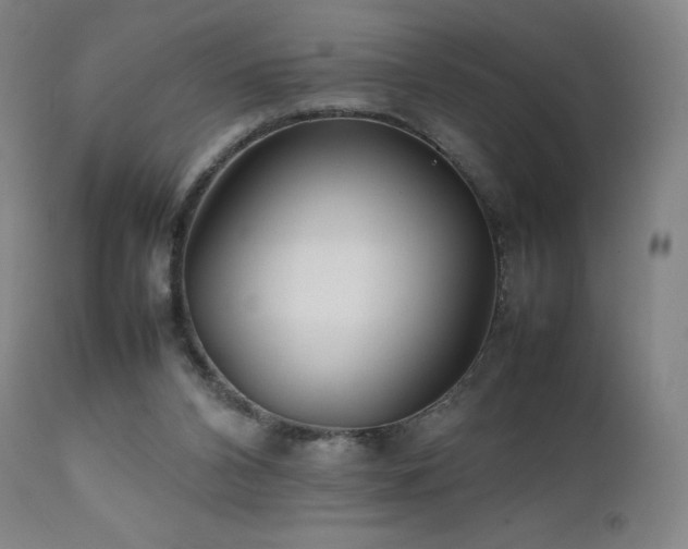 X0000111470112200907131527