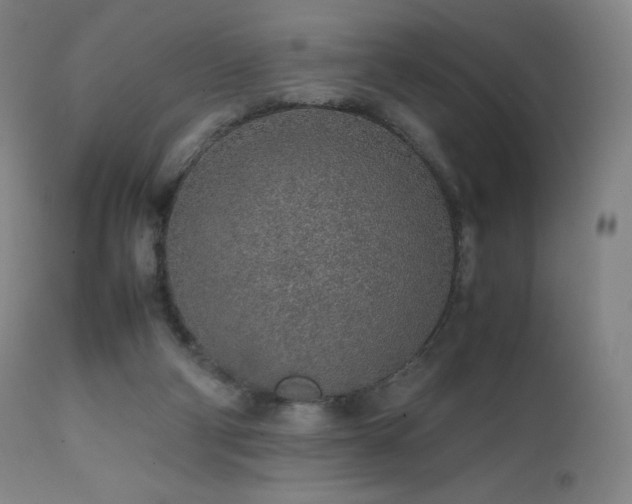 X0000111470114200907131527