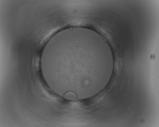 X0000111470115200907131527