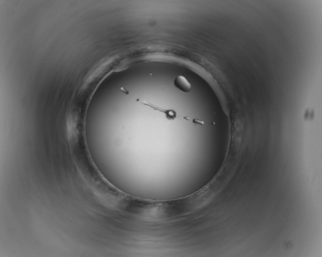 X0000111470116200907131527