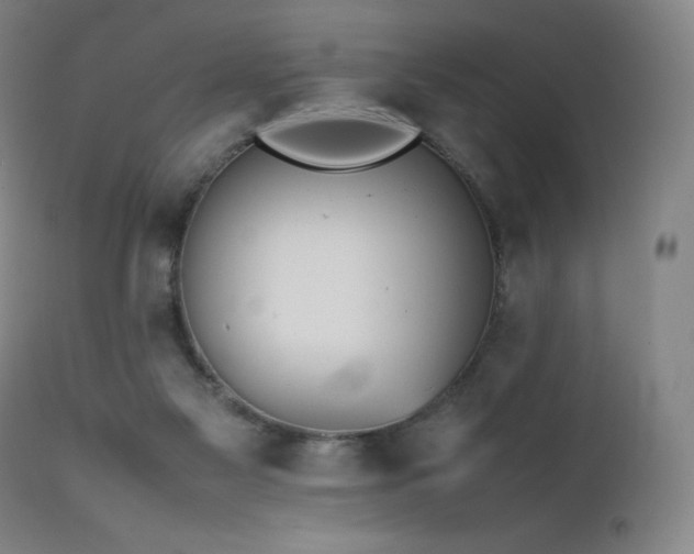 X0000111470117200907131527