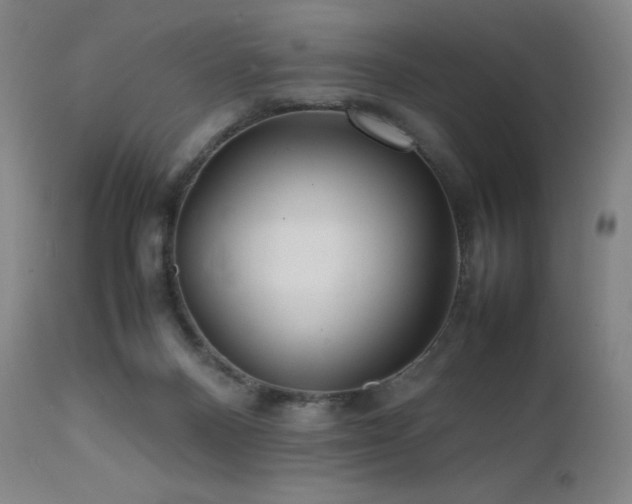X0000111470120200907131527