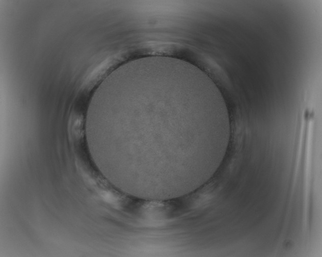X0000111470123200907131527
