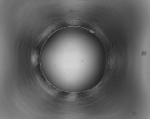 X0000111470124200907131527