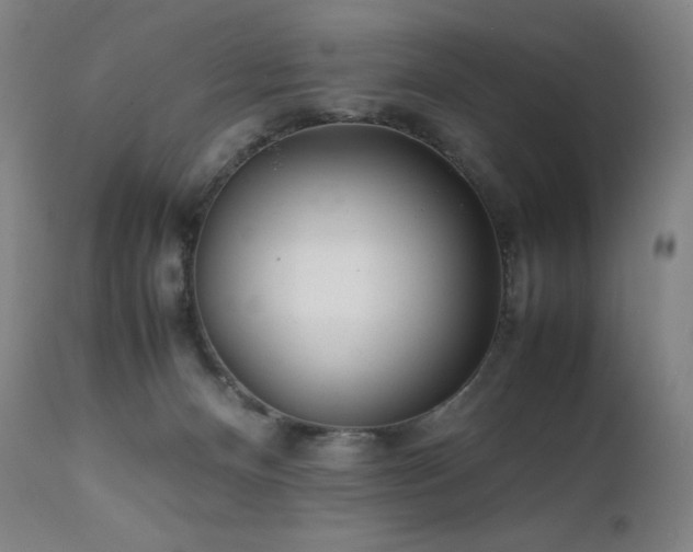 X0000111470128200907131527