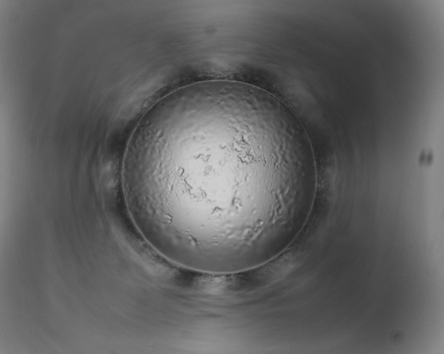 X0000111470131200907131527