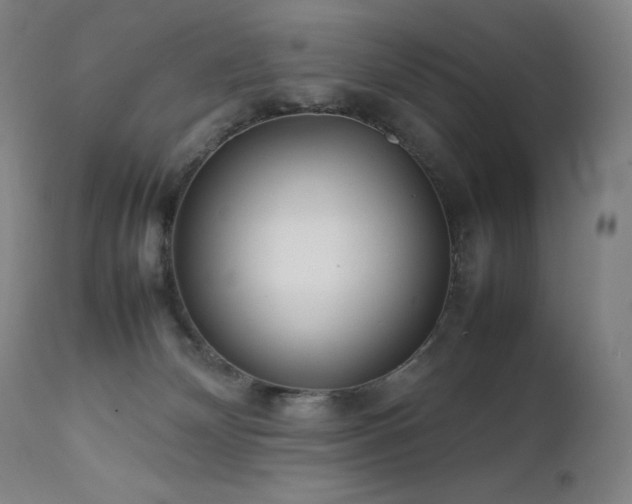 X0000111470132200907131527