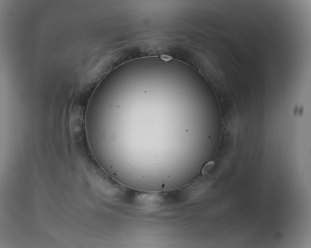 X0000111470133200907131527