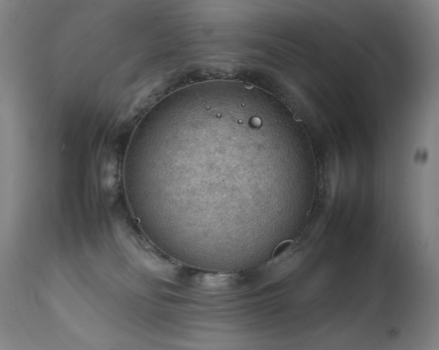 X0000111470134200907131527