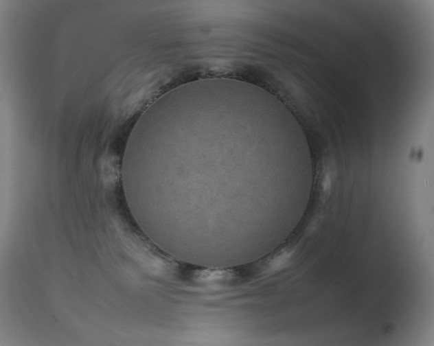 X0000111470135200907131527