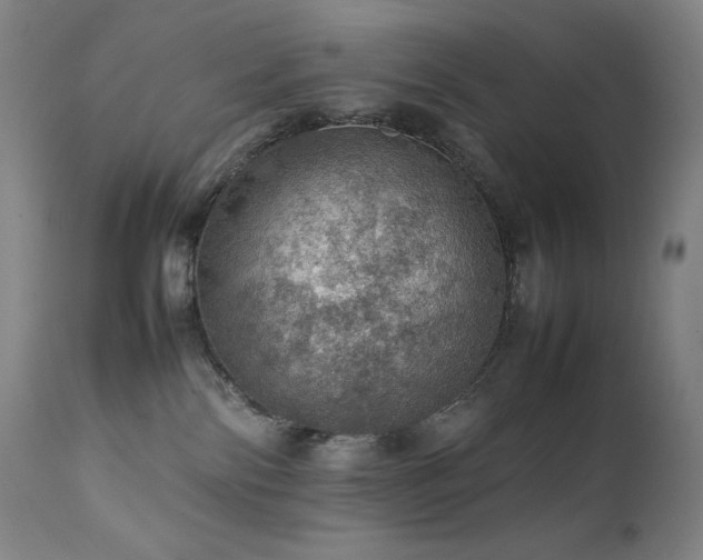 X0000111470138200907131527