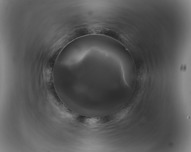 X0000111470139200907131527