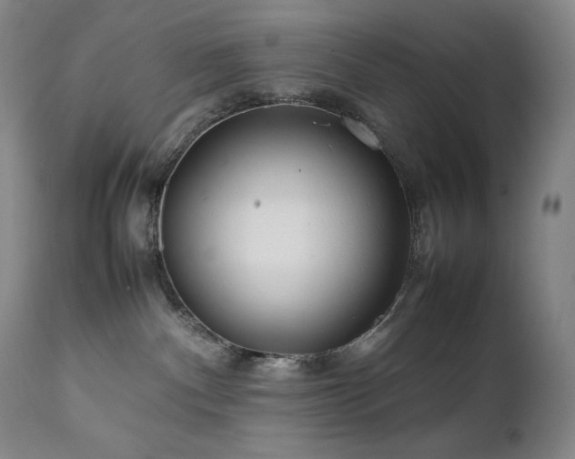 X0000111470140200907131527