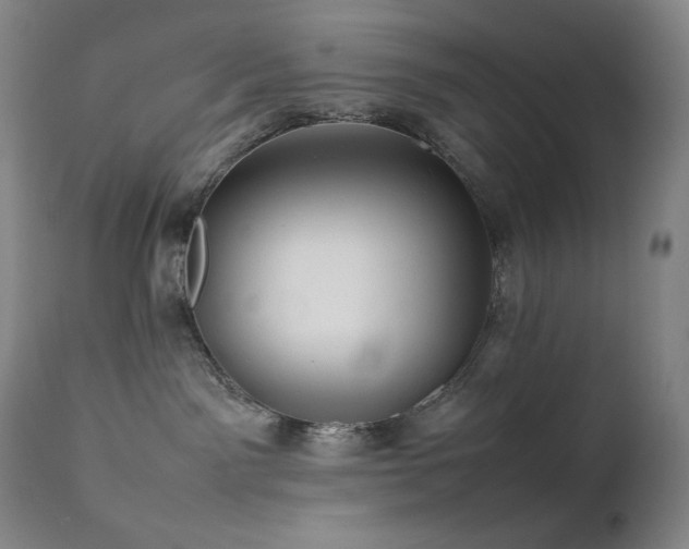 X0000111470141200907131527