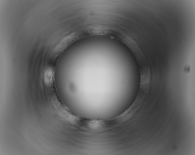X0000111470142200907131527