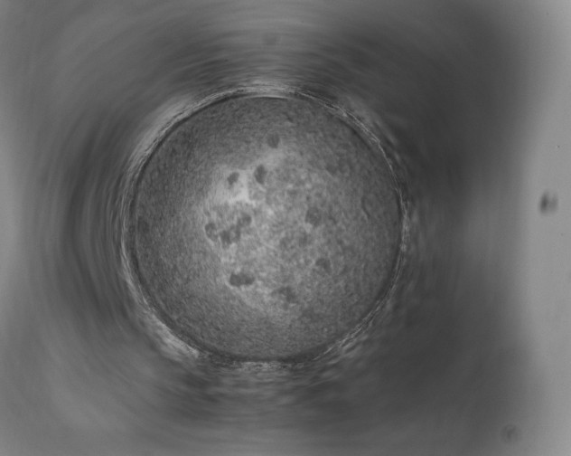 X0000111470145200907131526