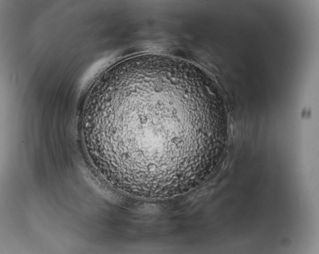 X0000111470149200907131526