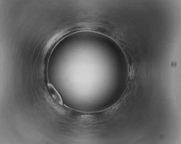 X0000111470150200907131526