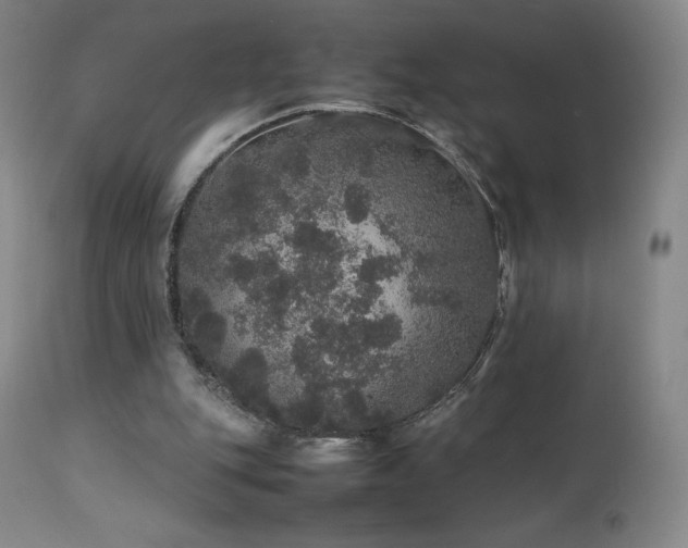 X0000111470151200907131526