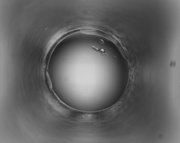 X0000111470152200907131526