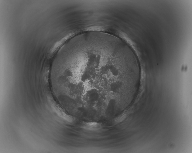 X0000111470153200907131526
