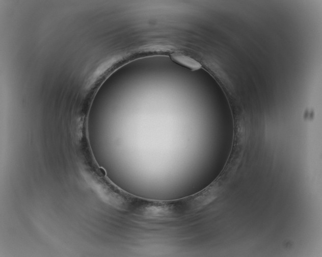 X0000111470160200907131526