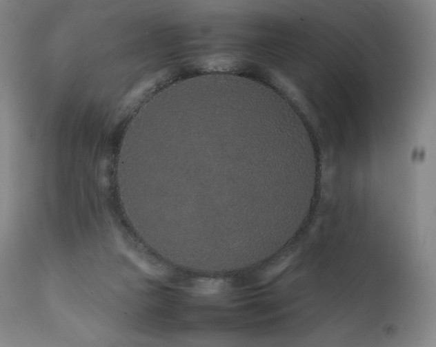 X0000111470161200907131526