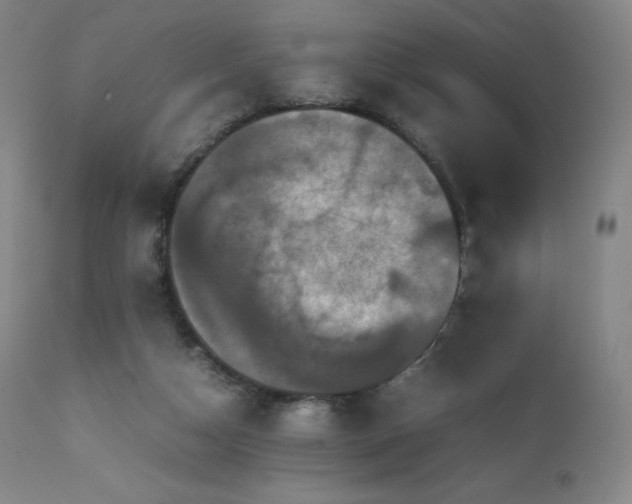 X0000111470162200907131526