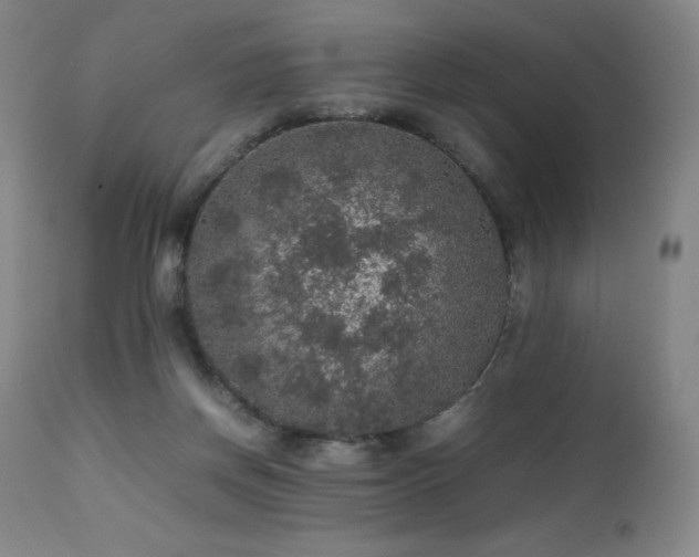 X0000111470166200907131526