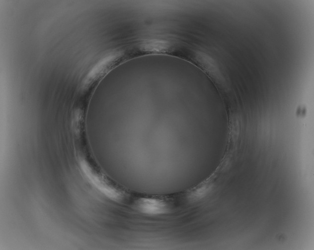 X0000111470167200907131526