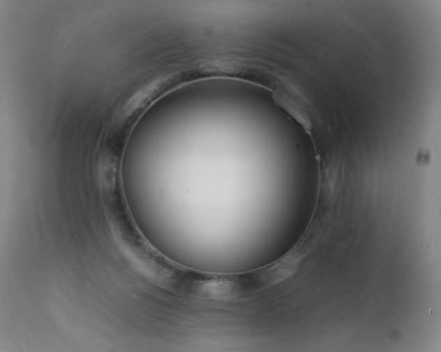 X0000111470168200907131526