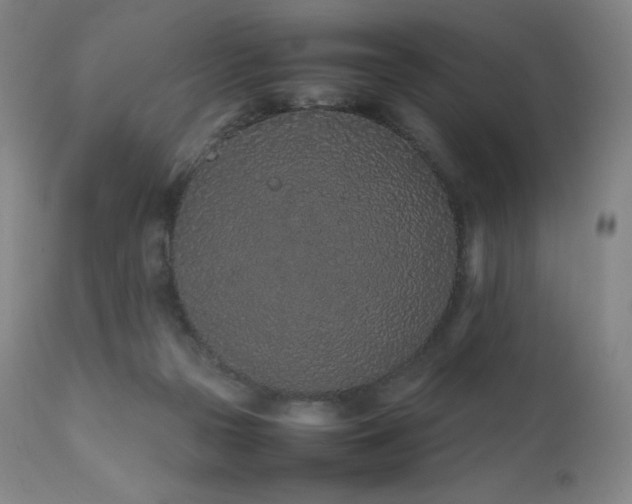 X0000111470169200907131526
