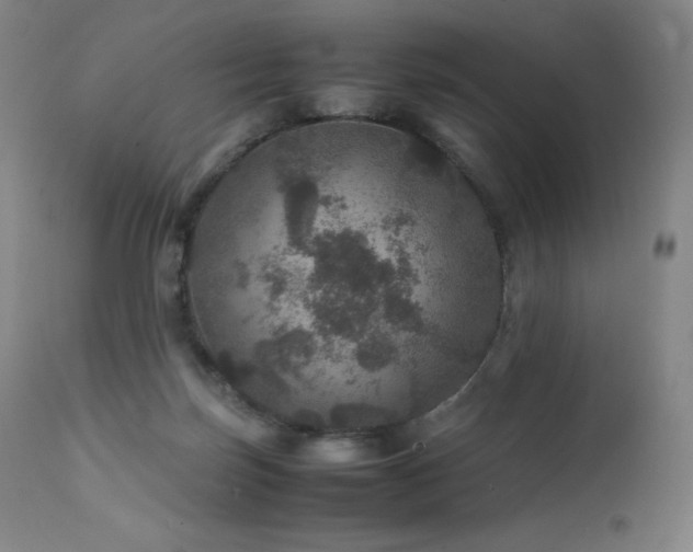 X0000111470171200907131526