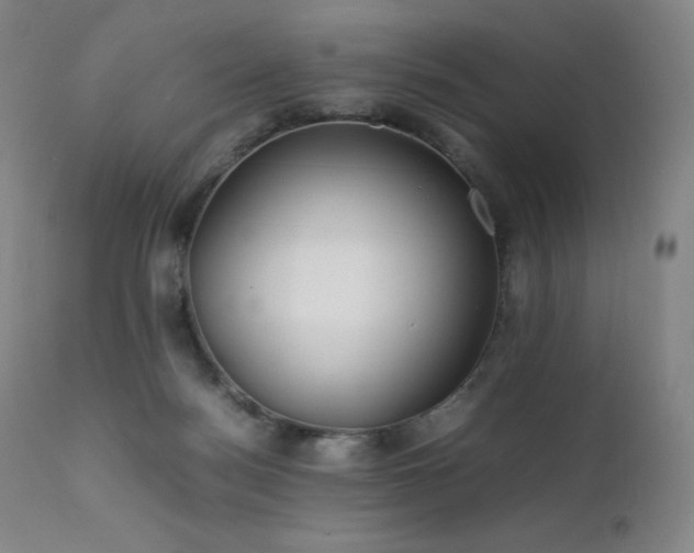 X0000111470172200907131526