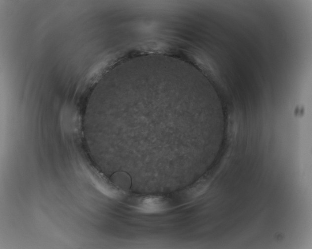 X0000111470173200907131526