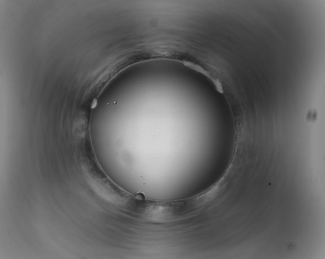 X0000111470174200907131526