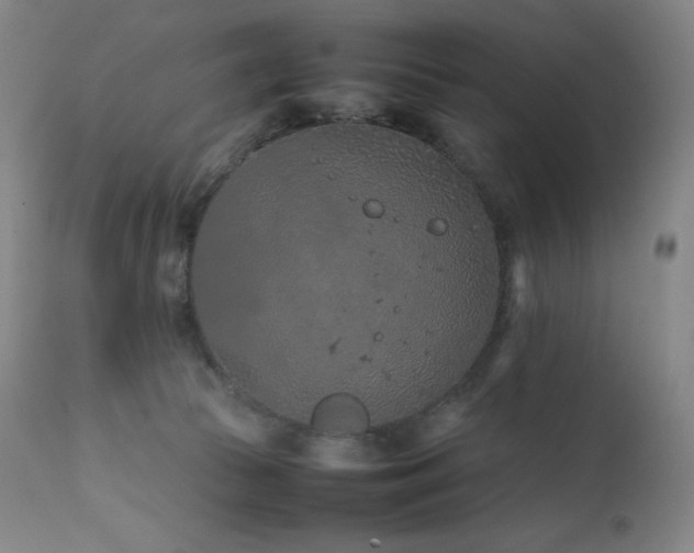 X0000111470177200907131526