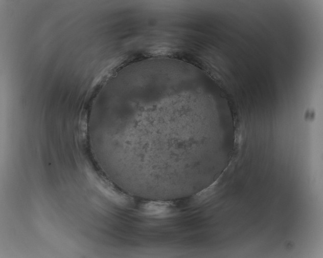 X0000111470179200907131526