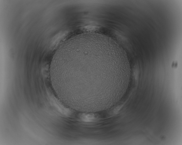 X0000111470181200907131526
