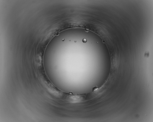 X0000111470183200907131526