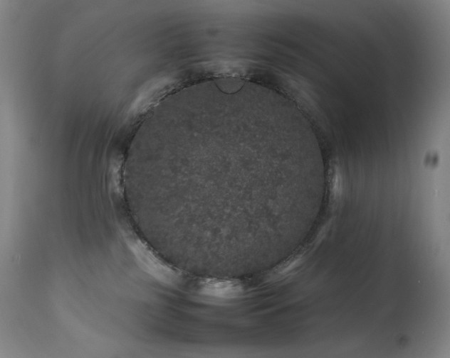 X0000111470185200907131526