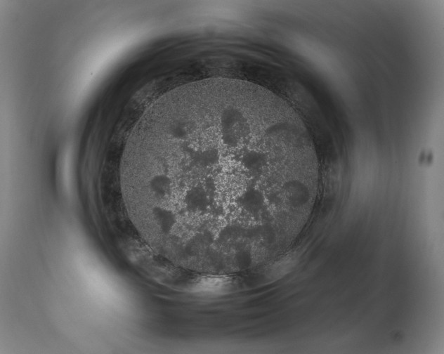 X0000111470189200907131527