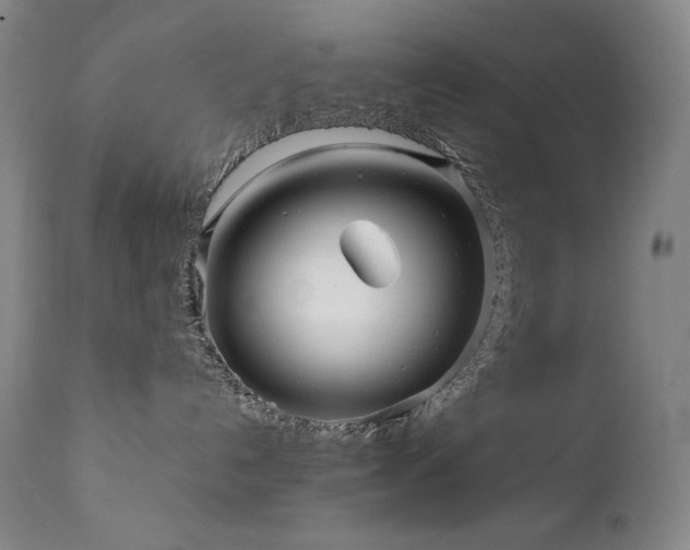 X0000111470192200907131527