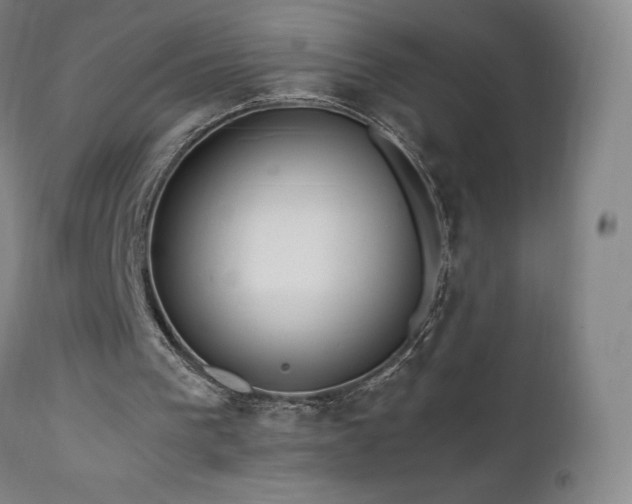 X0000111470193200907131526
