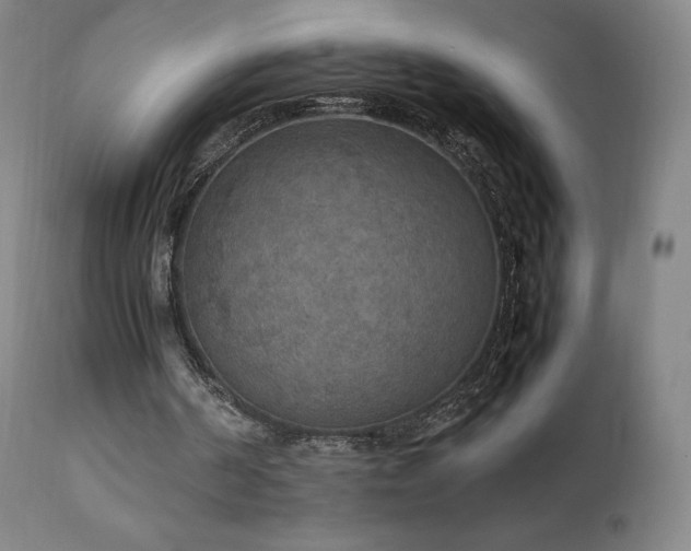 X0000111470194200907131526