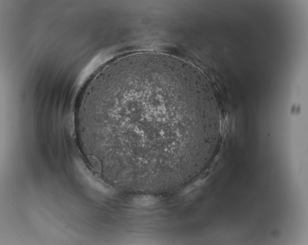 X0000111470198200907131526