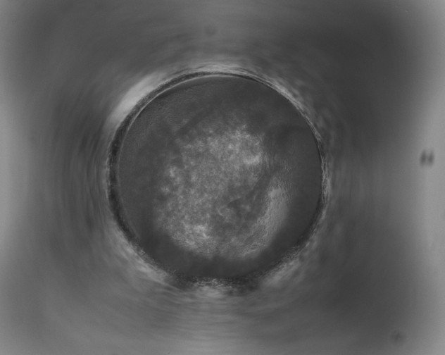 X0000111470199200907131526
