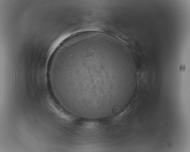 X0000111470200200907131526