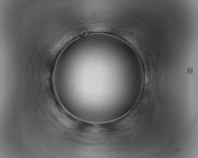 X0000111470201200907131526